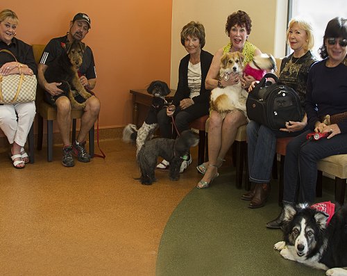 Pet owners waiting in the lobby with their pets